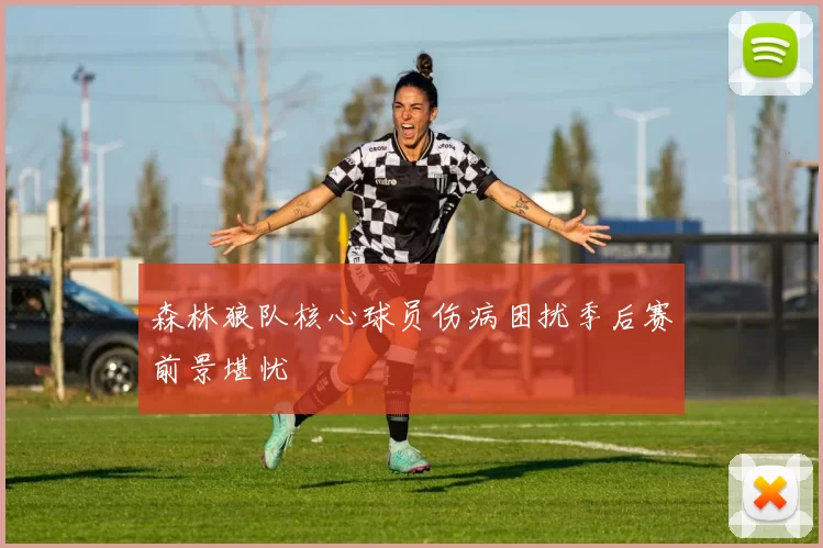 森林狼队核心球员伤病困扰季后赛前景堪忧