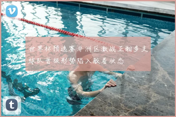 世界杯预选赛非洲区激战正酣多支球队晋级形势陷入胶着状态