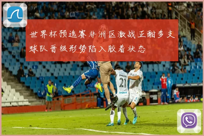 世界杯预选赛非洲区激战正酣多支球队晋级形势陷入胶着状态